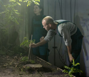 HUNGARIAN ACACIA (HU)